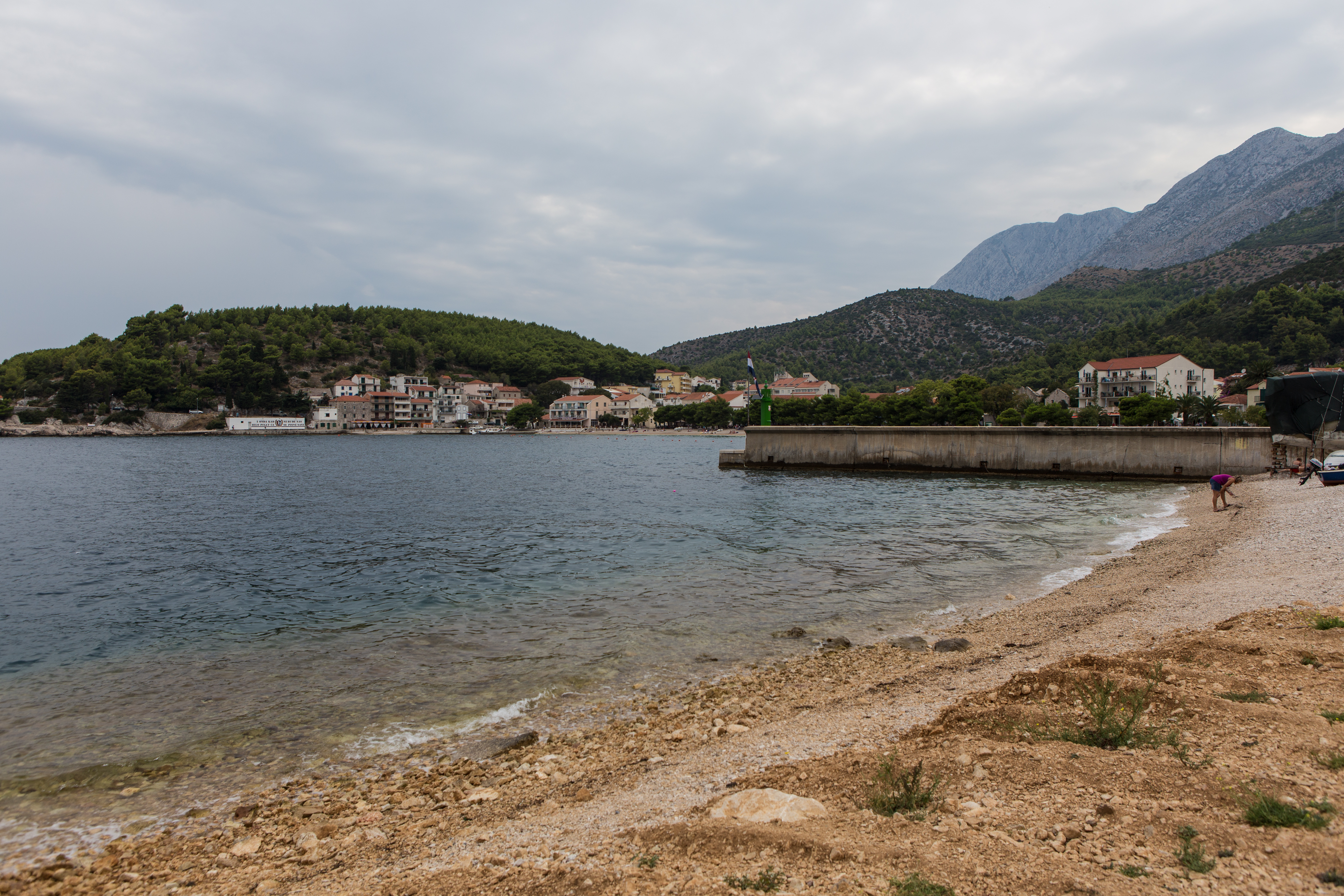 IMG_1559.jpg