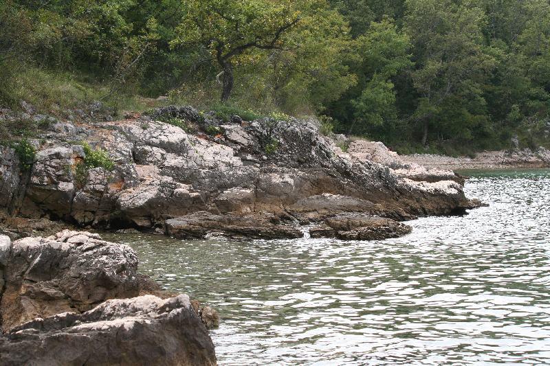 Felsige Küste von Istrien am klaren Wasser