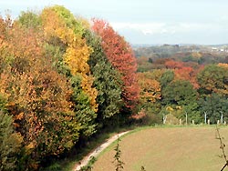 Ungarn im Herbst