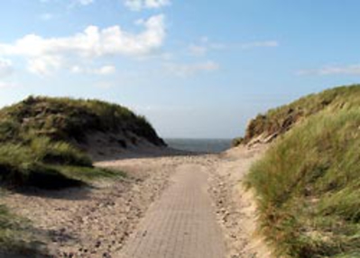 Länderportal Niederlande